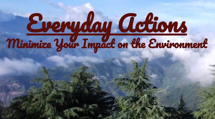 Minimize Your Impact on the Environment